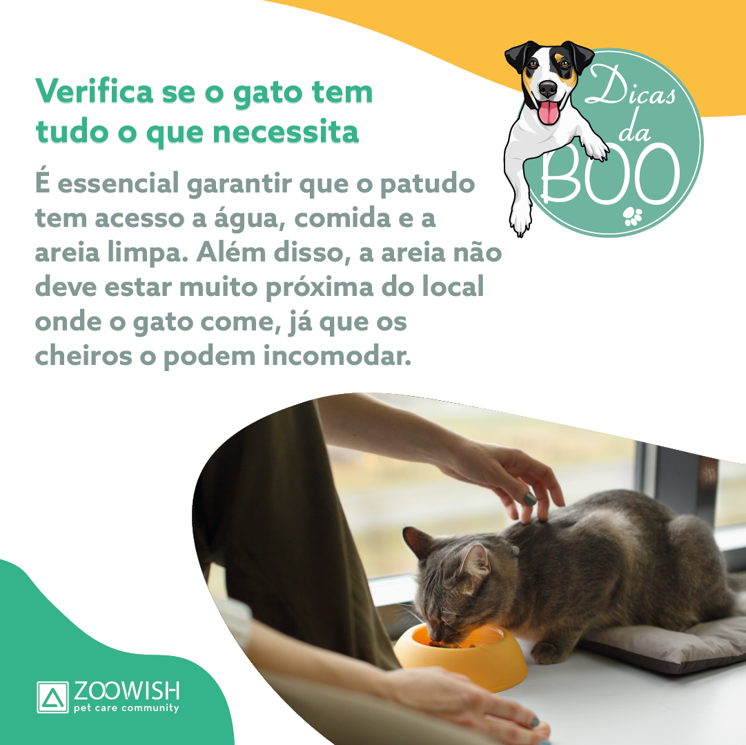 Slide da publicação em que se explica que devemos verificar se o gato tem tudo o que necessita