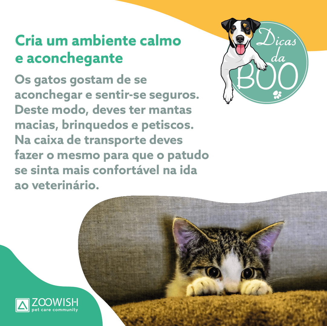 Slide da publicação em que se explica que devemos ciar um ambiente calmo e aconchegante