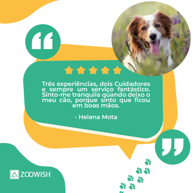 Feedback da Helena Mota quanto aos serviços Zoowish
