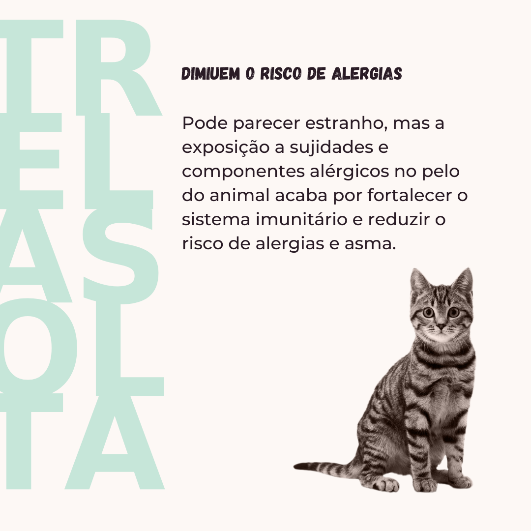 Slide da publicação em que se explica que ter animais de estimação diminui risco de alergias
