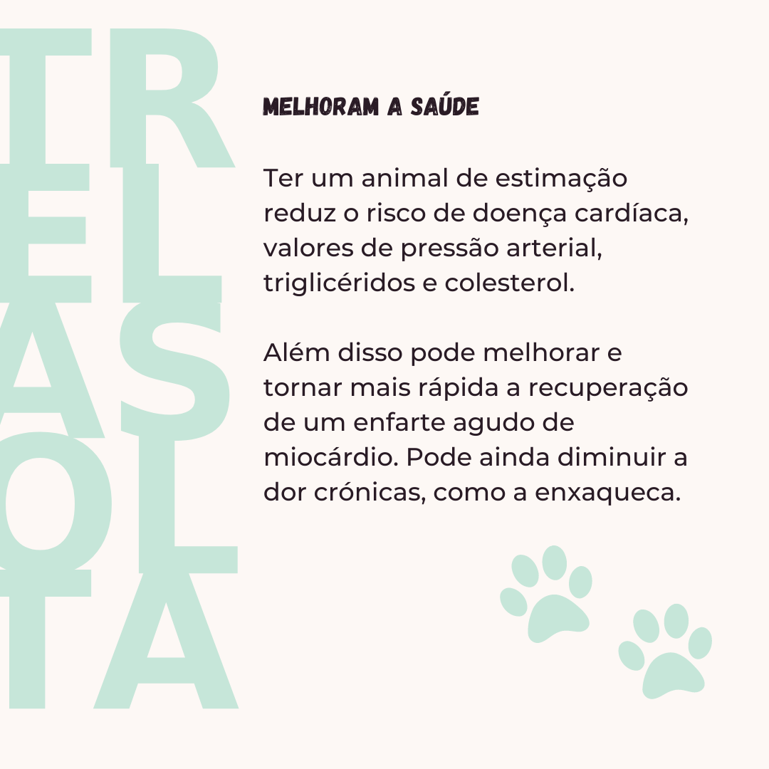 Slide da publicação em que se explica que ter animais de estimação melhora a saúde