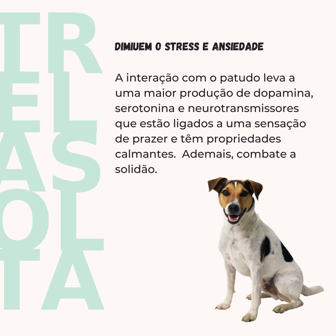 Slide da publicação em que se explica que ter animais de estimação diminui o stress e ansiedade