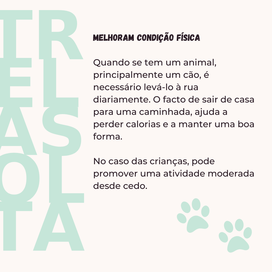 Slide da publicação em que se explica que ter animais de estimação melhora a condição física
