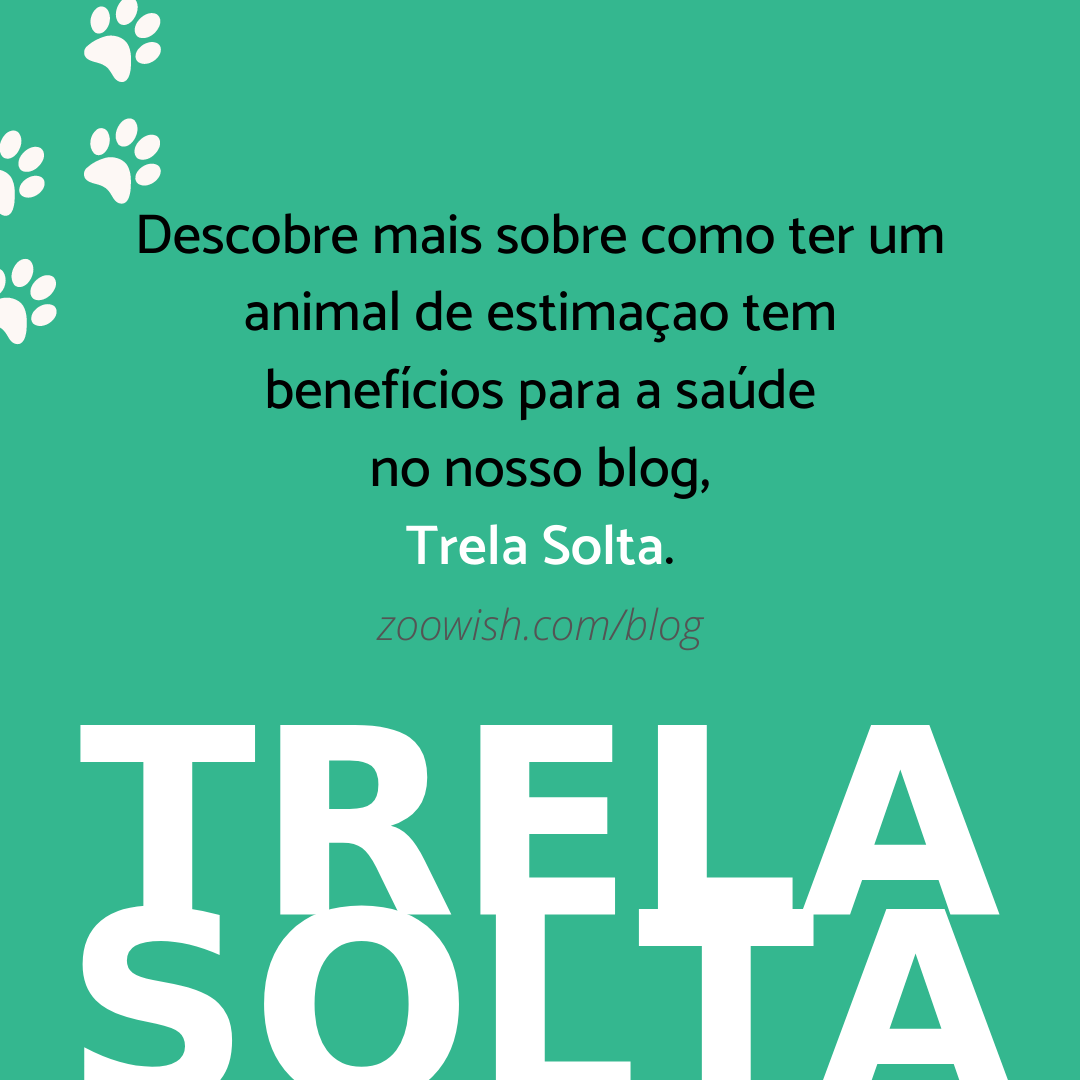 Slide final da publicação a pedir para partilhar o post e ler o artigo no blog